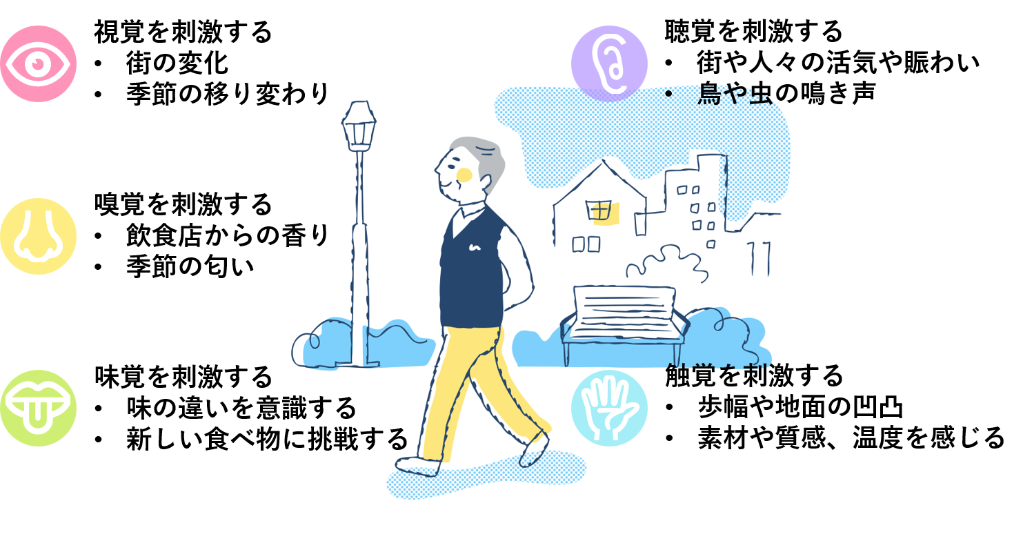 街の情報が五感を鍛え、脳を活性化する（一例）