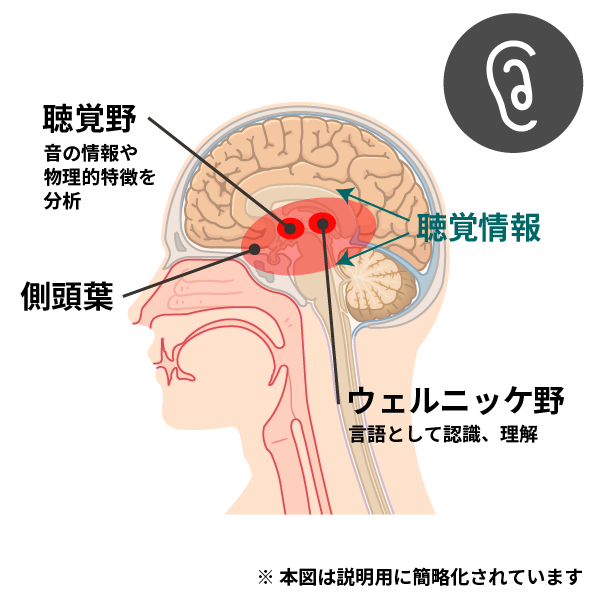 視覚「街の変化を楽しむ」