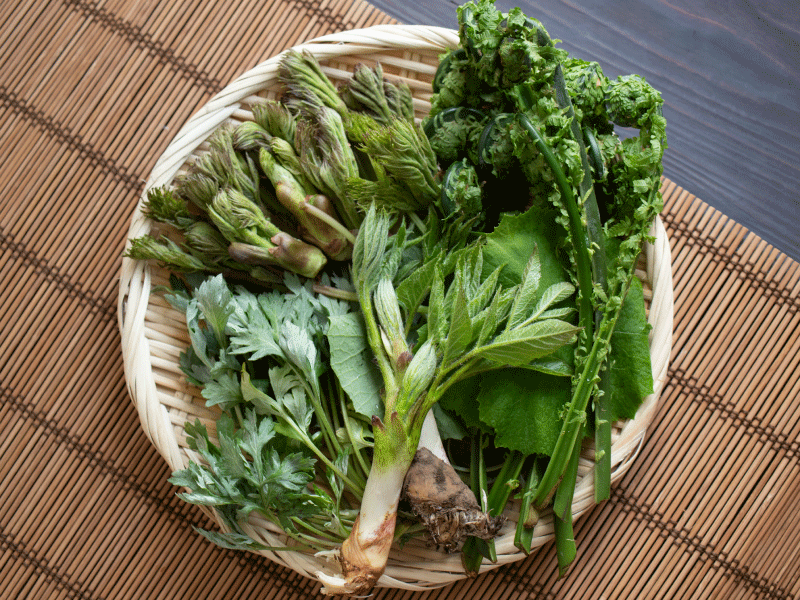 ●春の苦味が持つ「デトックス効果」