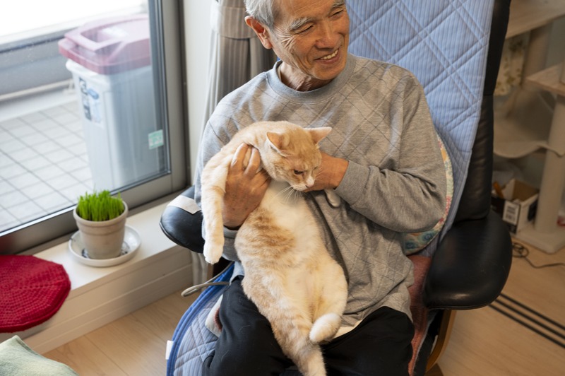 グランドマスト練馬桜台Ｔさま（70代、男性）飼い猫：メイちゃん（メス）