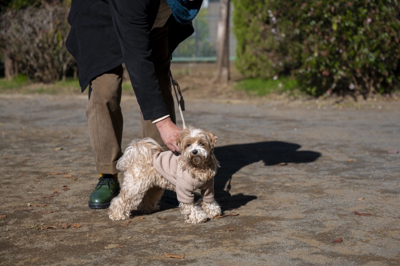 、愛犬・愛猫との幸せな日々