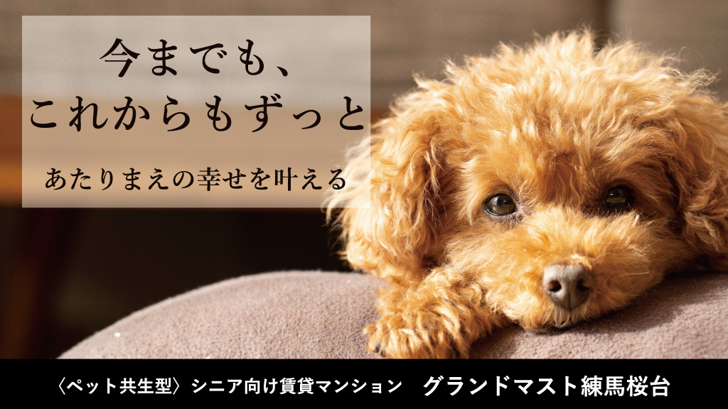 ピックアップ画像