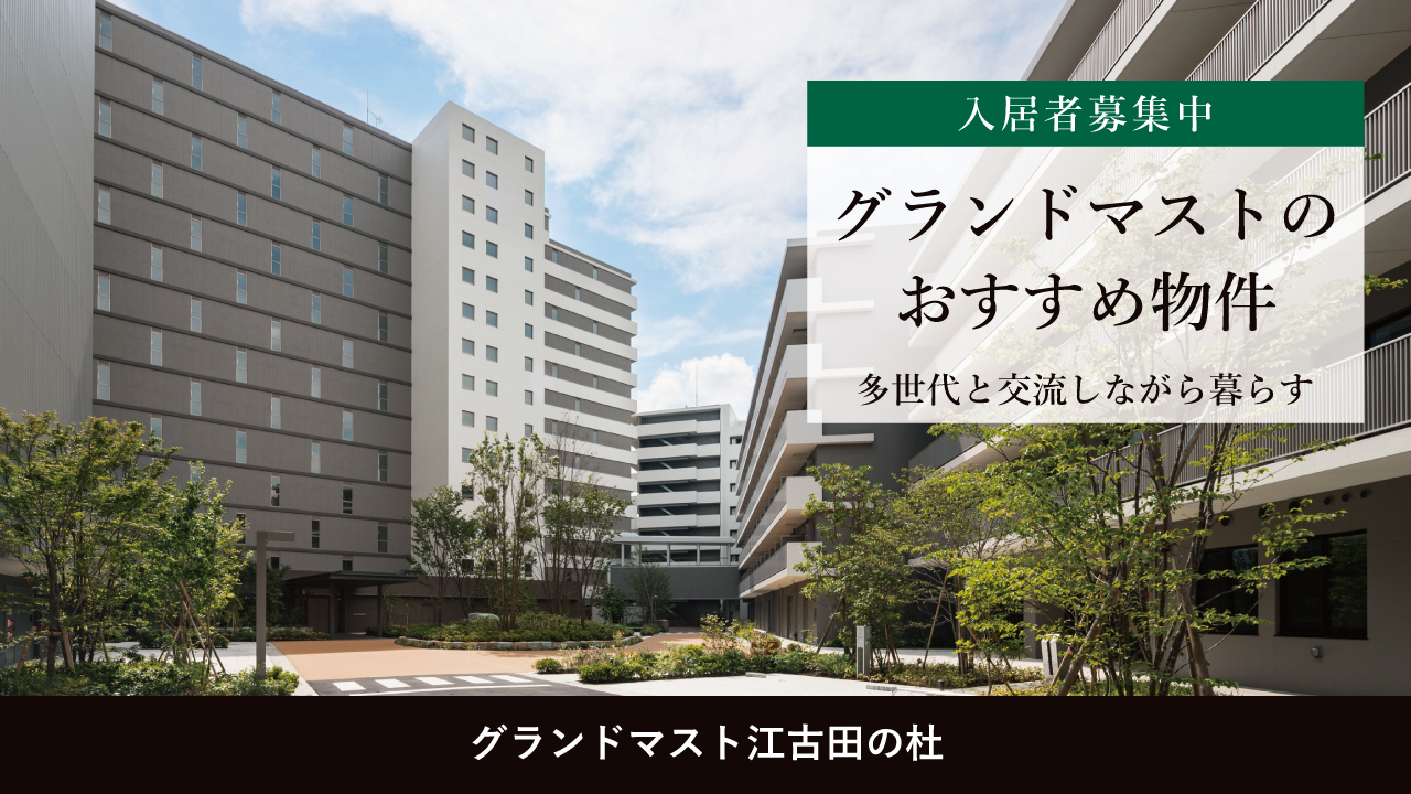 ピックアップ画像