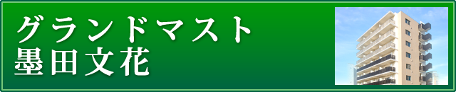 グランドマスト墨田文花